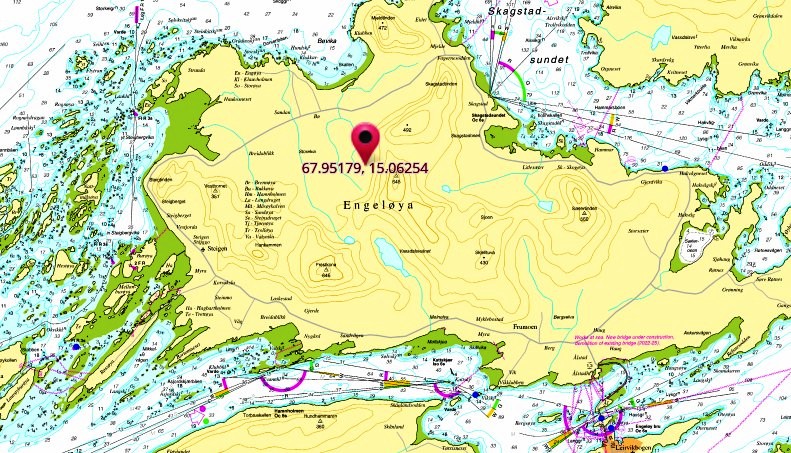 engelroya see