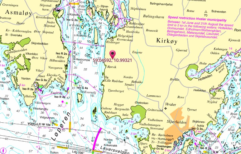 roervik see