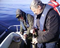 Hektik ist angesagt!