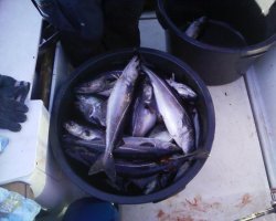 Das ist kein Eimer, das ist eine Maurerbütt!