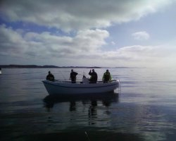 Dies vier hatten auch schon das Boot voll Fisch