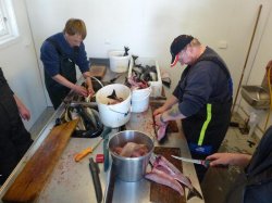 Fische &quot;schnitzen&quot;