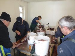 Man hätte eine Halle gebraucht.