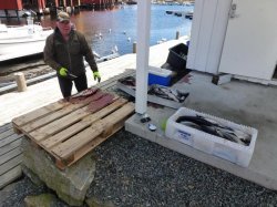 Auch außen wird filetiert, sonst hätte der Tag nicht gereicht.