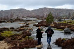 Die Wege sind mit Wasser angefüllt