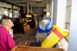 Schafschur vor der Bearbeitung