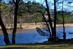 Axel will sich doch nicht ins Meer stürzen?