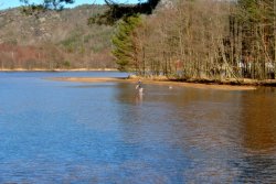 Gut, dass der Fluss nicht so tief ist.