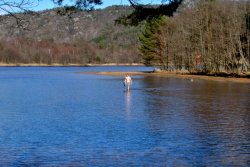 Oben ist es deutlich wärmer als unten.