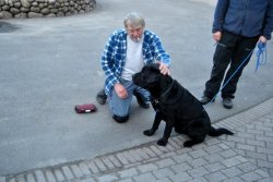 Beide machen &quot;Sitz&quot;