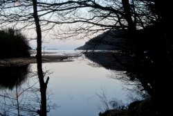 21 Uhr, die Natur kommt zur Ruhe