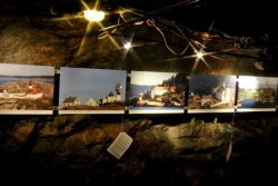 Bilder der Fotoausstellung