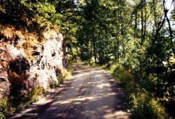 Die Straße von Bjørnevåg nach Skarstein