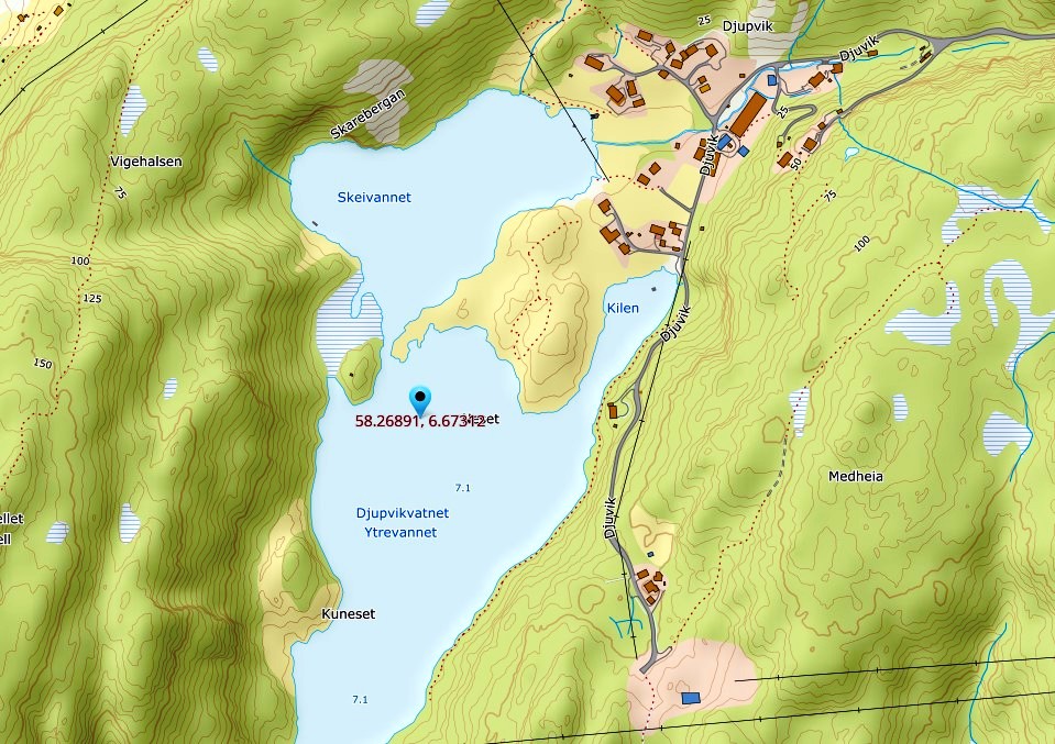djupvikvannet